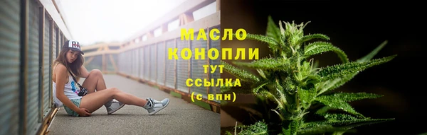 спайс Дмитриев