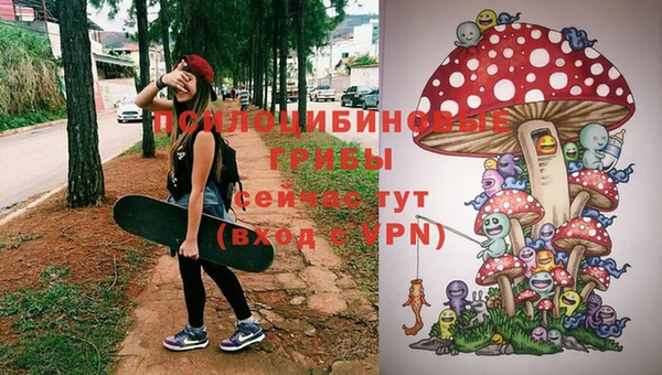 ПСИЛОЦИБИНОВЫЕ ГРИБЫ Дмитровск