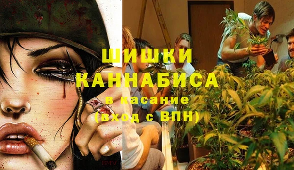 спайс Дмитриев