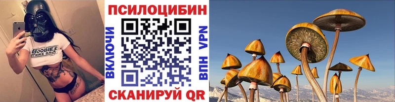 мориарти состав  как найти наркотики  Владикавказ  Галлюциногенные грибы Magic Shrooms 